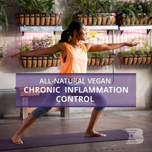 Load image into Gallery viewer, Riboflam 90 V-caps